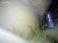 Hairy cum-hole fucked by a unshaved dog